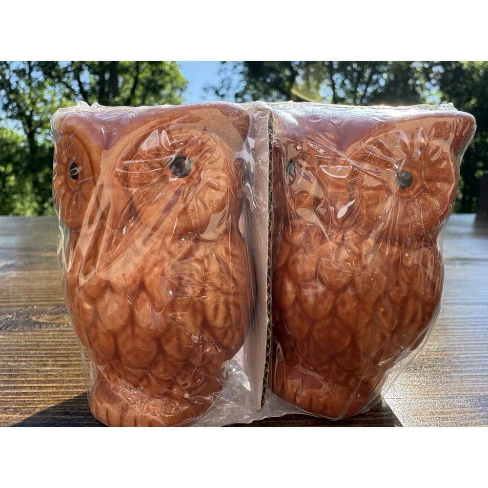 Owl Salt Pepper Shakers Ceramic Brown Woodland Kitchen Decor‎ Gift Set New